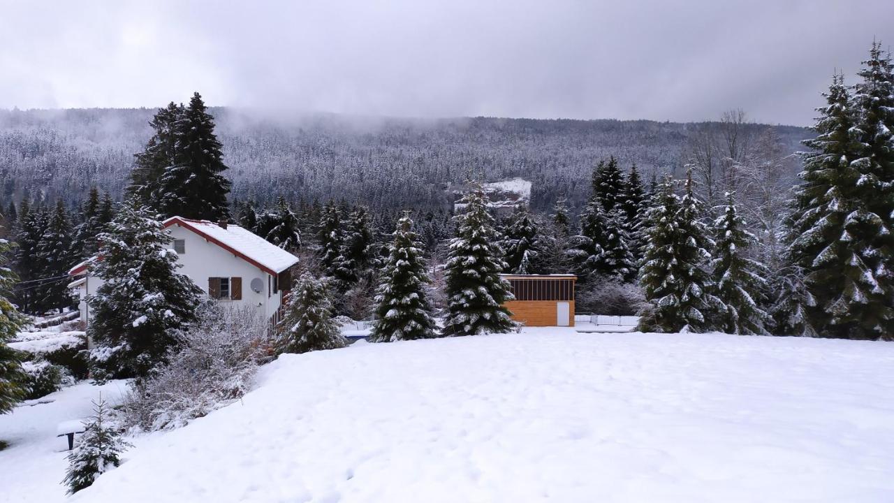 Maison Familiale 3 Chambres Au Calme Dans La Nature Gérardmer Buitenkant foto