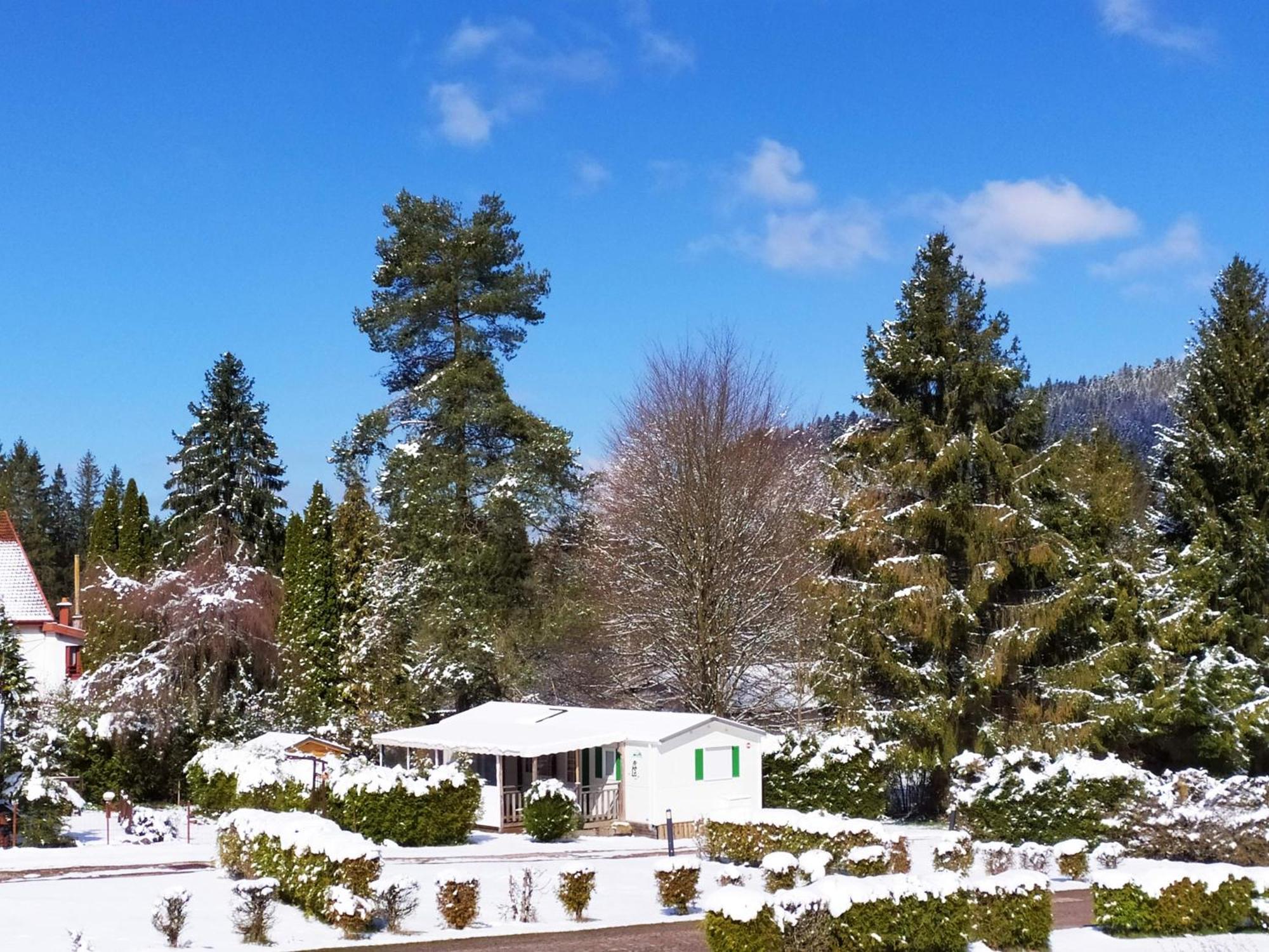 Maison Familiale 3 Chambres Au Calme Dans La Nature Gérardmer Buitenkant foto